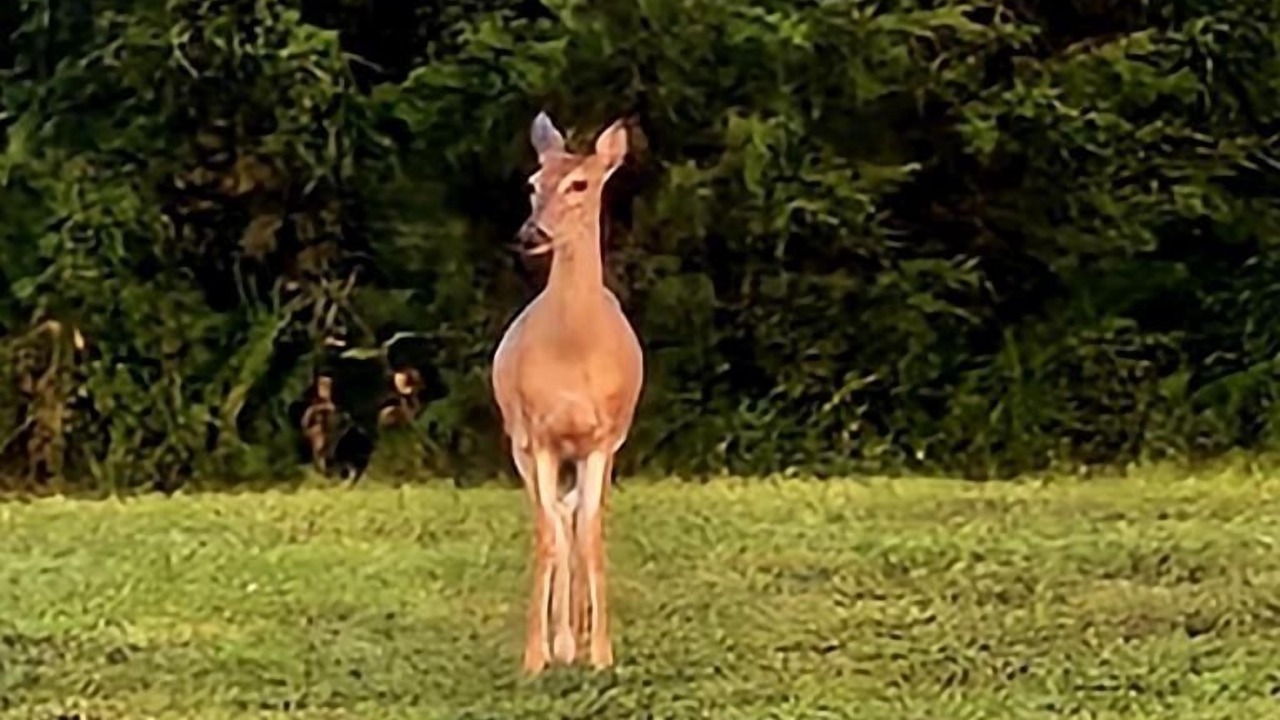 Photo of Outdoor in Stanford
