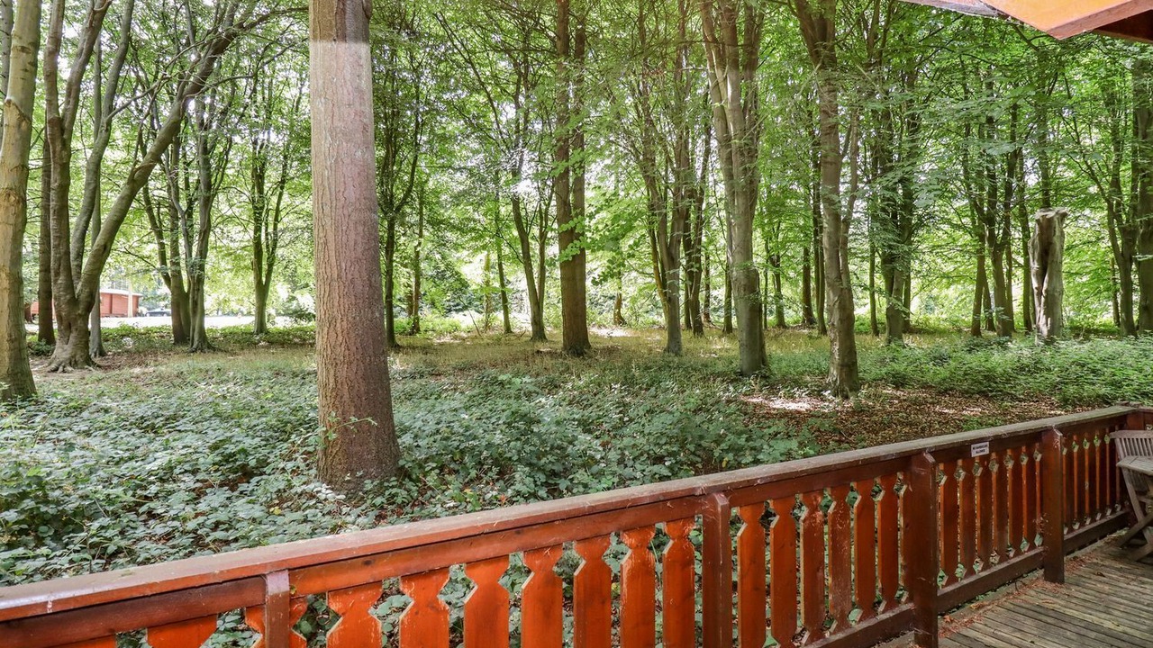 Photo of Outdoor in Louth