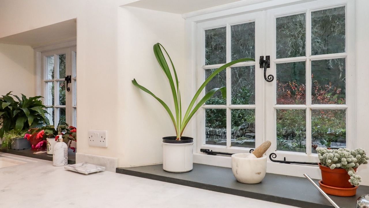 Photo of Others in Trentishoe