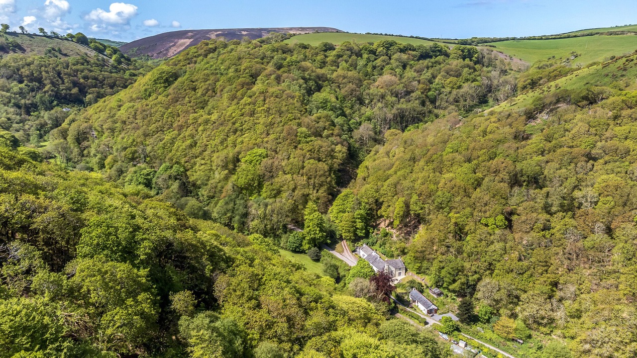 Photo of Others in Trentishoe