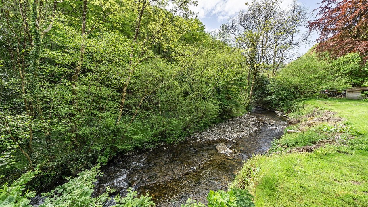 Photo of Others in Trentishoe