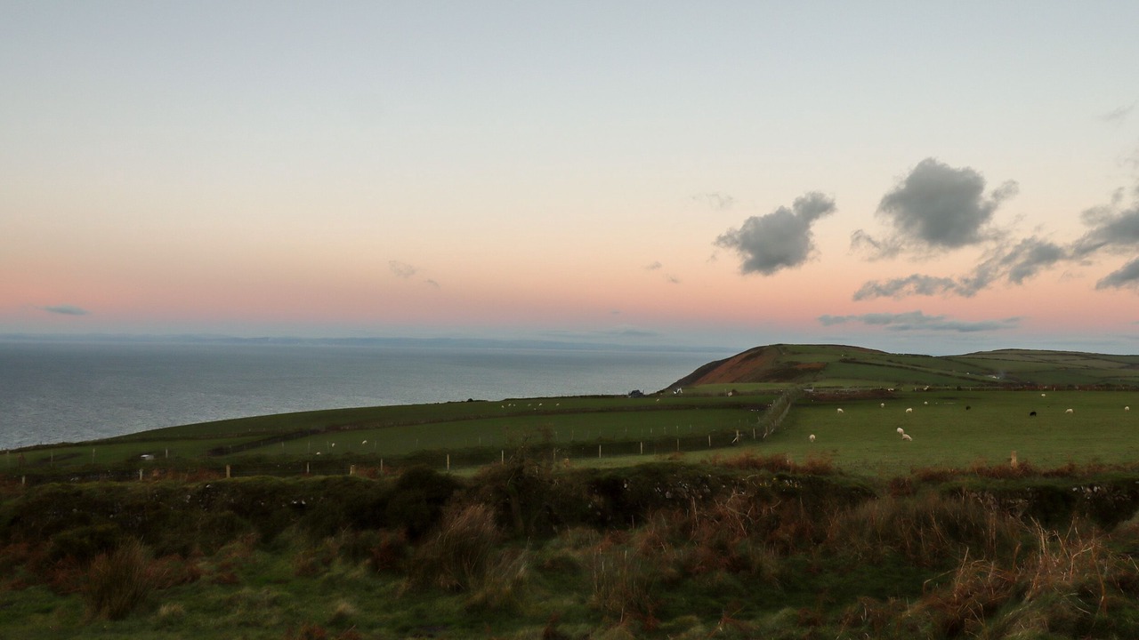 Photo of Others in Trentishoe