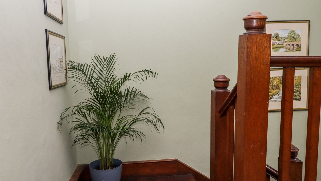 Photo of Others in Trentishoe