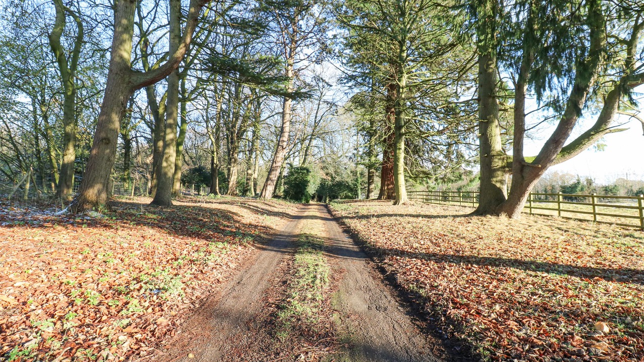 Photo of Outdoor in Richmond