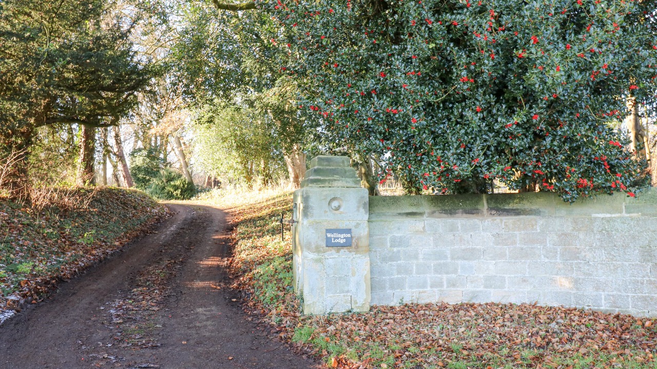 Photo of Outdoor in Richmond