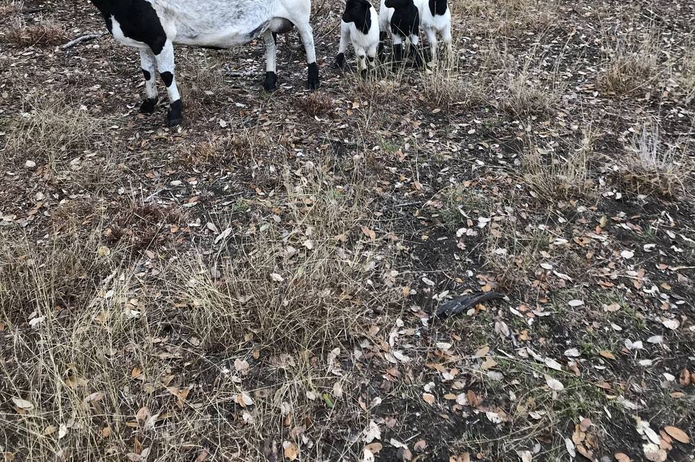 Photo of Outdoor in Johnson City