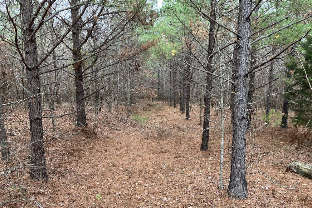 Photo of Outdoor in Morris Chapel