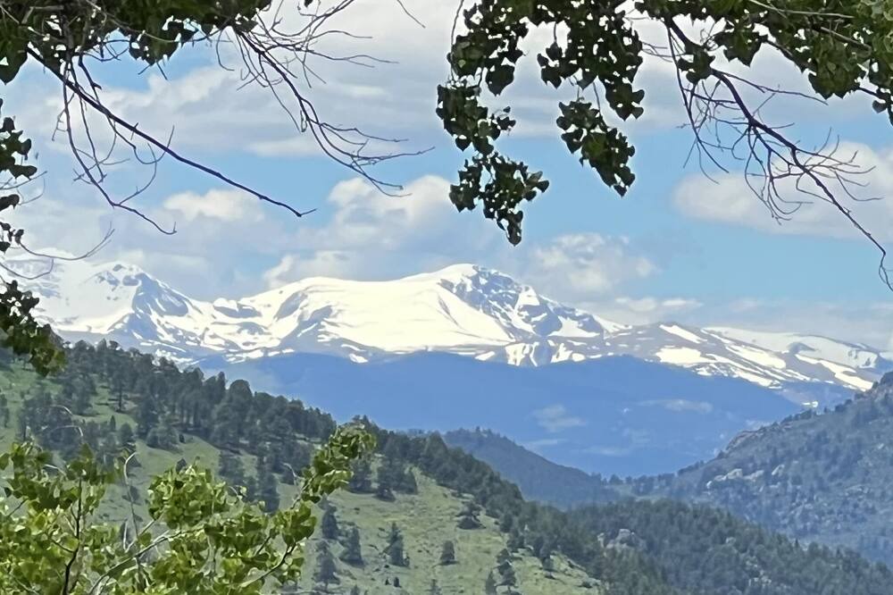 Photo of Others in Golden