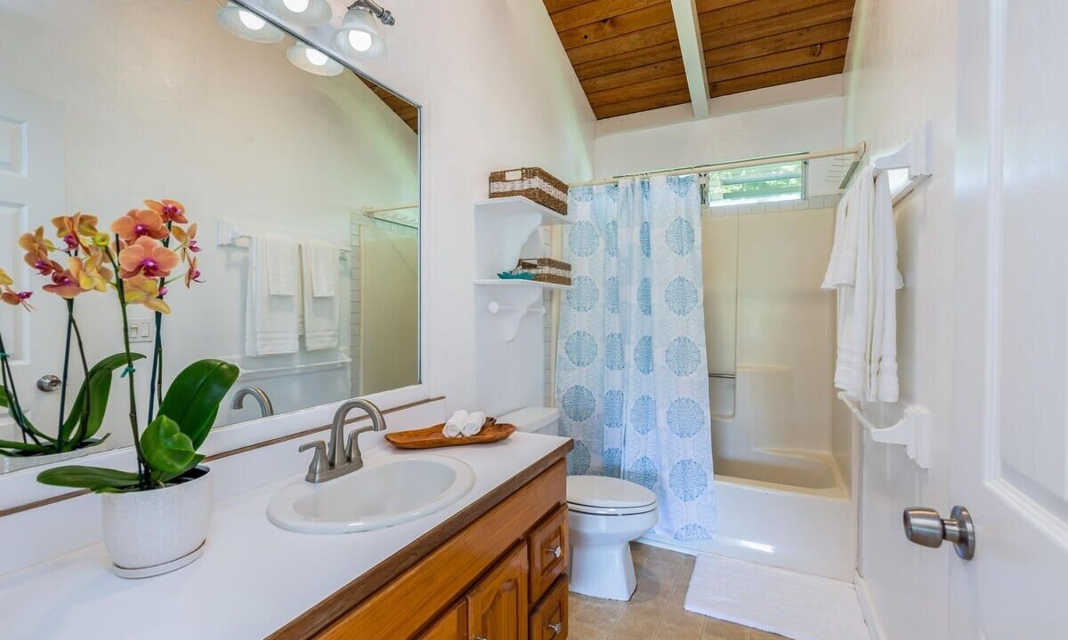 Photo of Others in Hanalei Palms