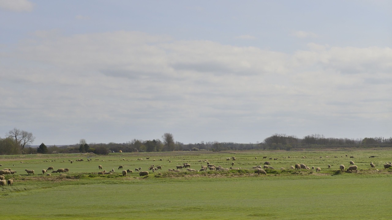 Photo of Others in Woignarue