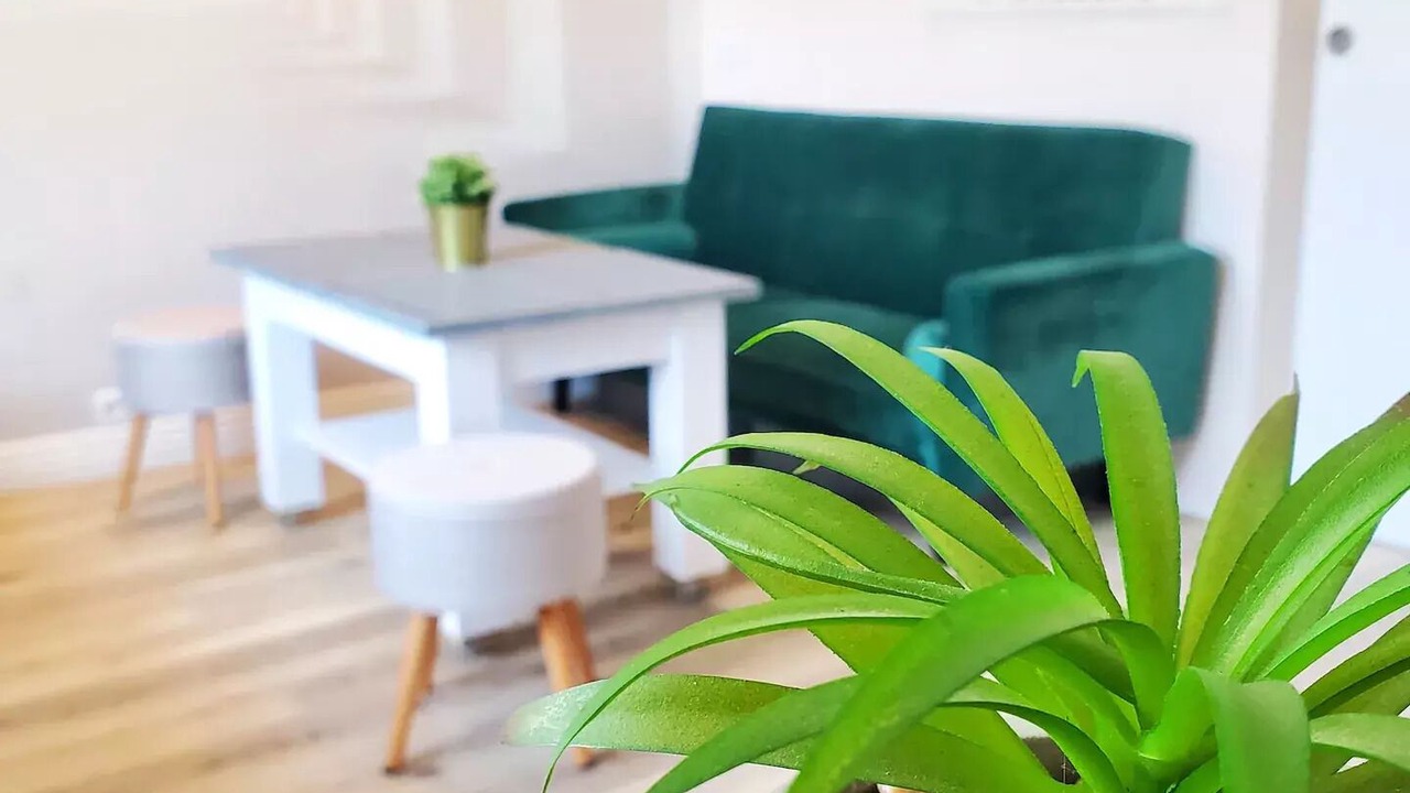 Photo of Outdoor in Cormicy