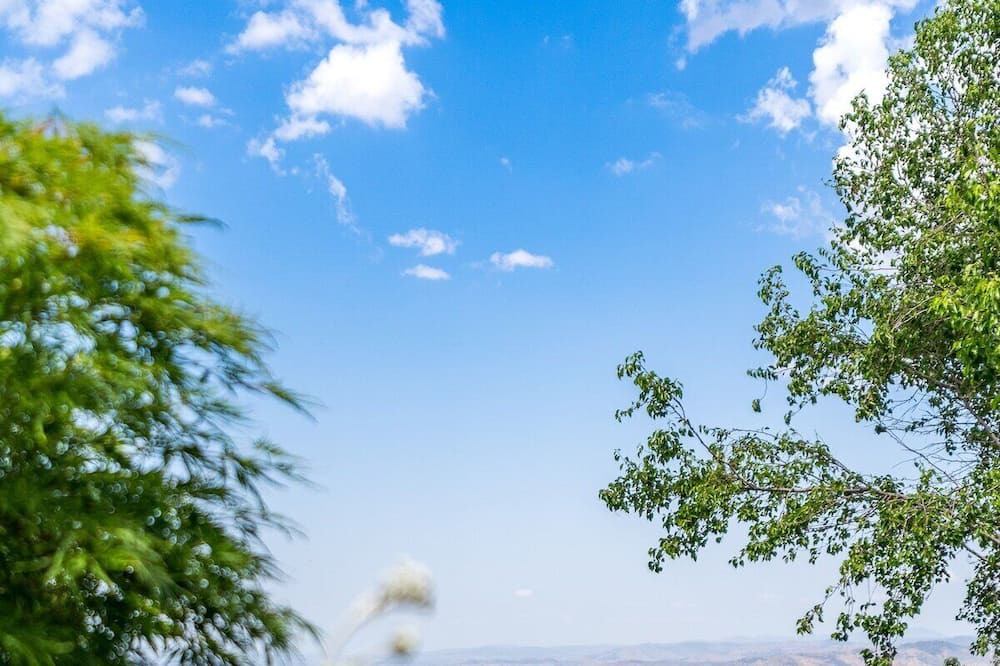 Photo of Others in Ballard