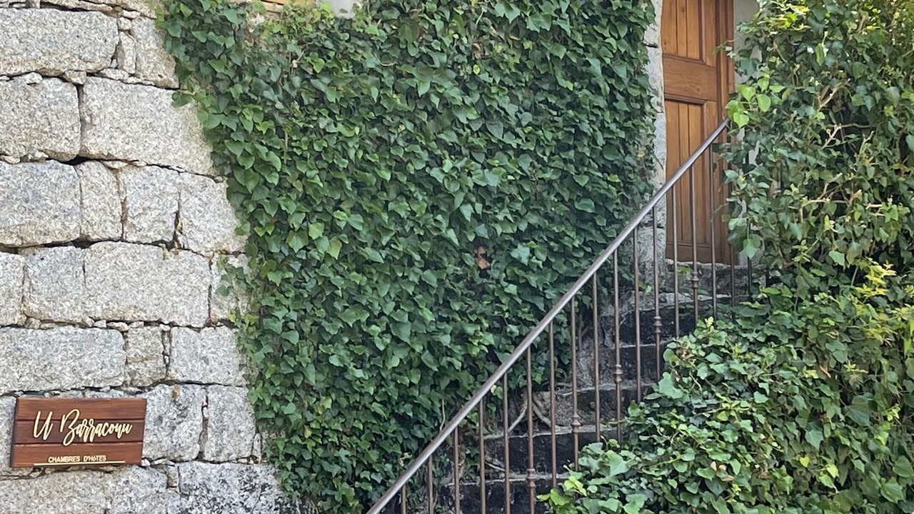 Photo of Outdoor in Porto-Vecchio