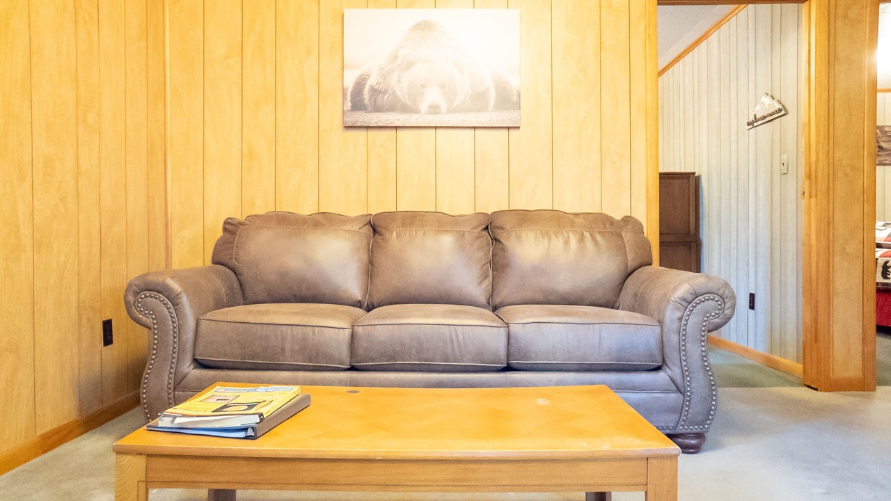 Photo of Livingroom in Ohiopyle