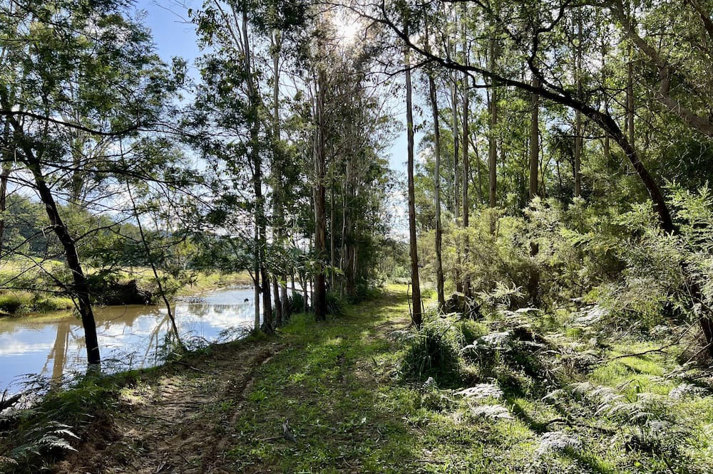 Photo of Others in Cessnock City Council