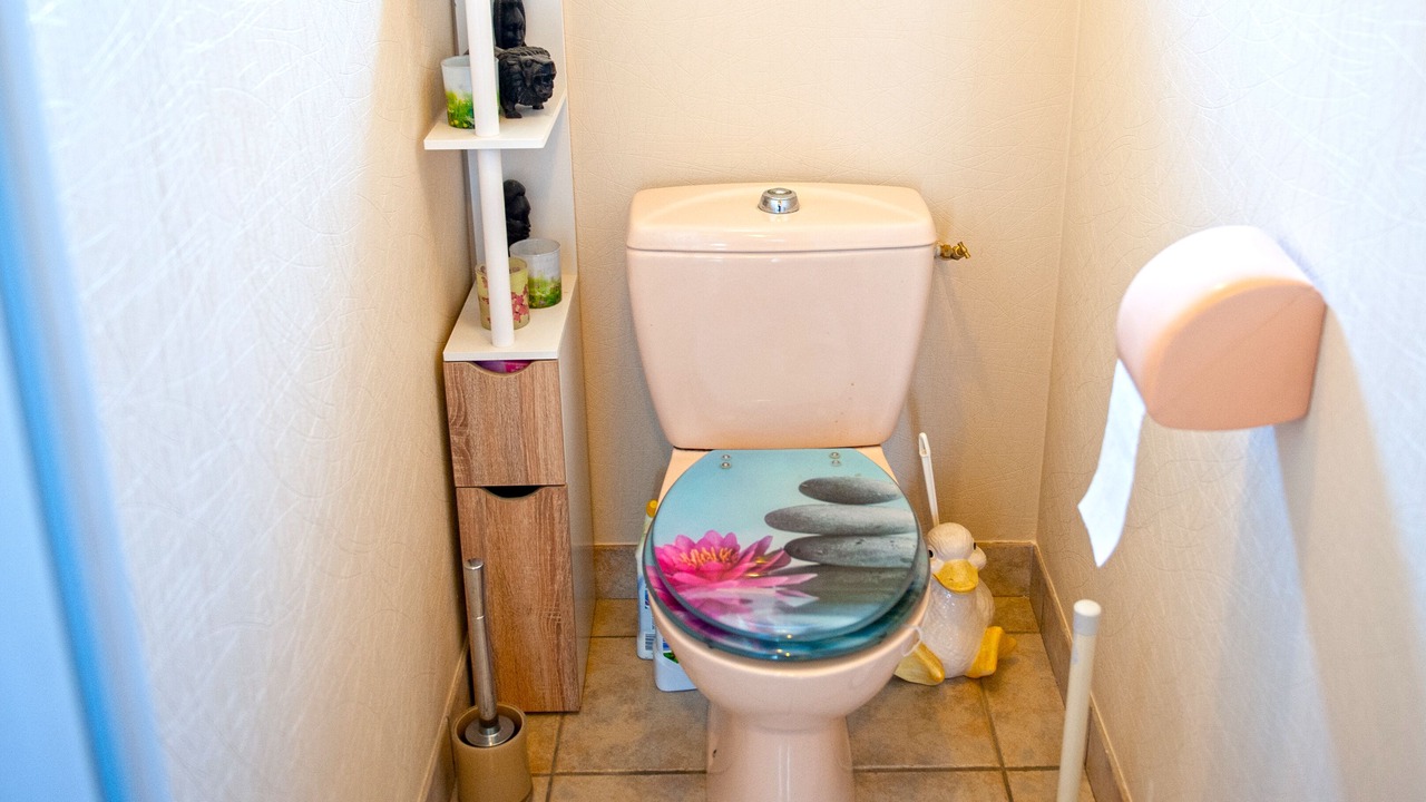 Photo of Others in Pluvigner