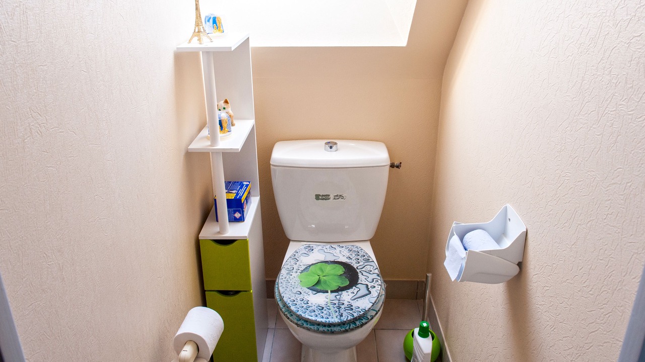 Photo of Others in Pluvigner