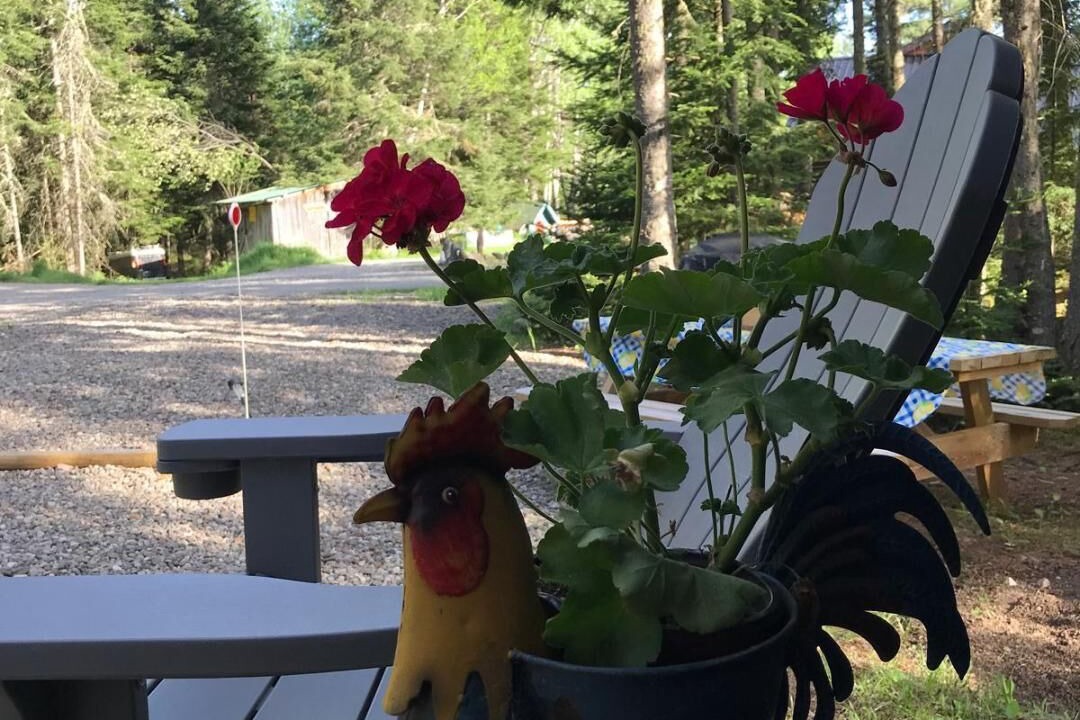 Photo of Outdoor in Vermontville