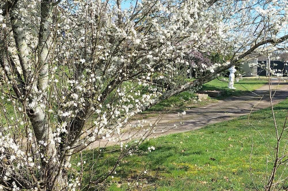 Photo of Outdoor in Graulhet