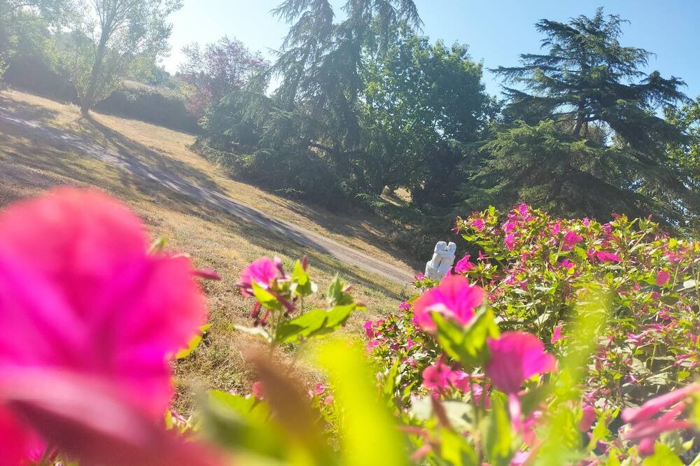 Photo of Outdoor in Graulhet