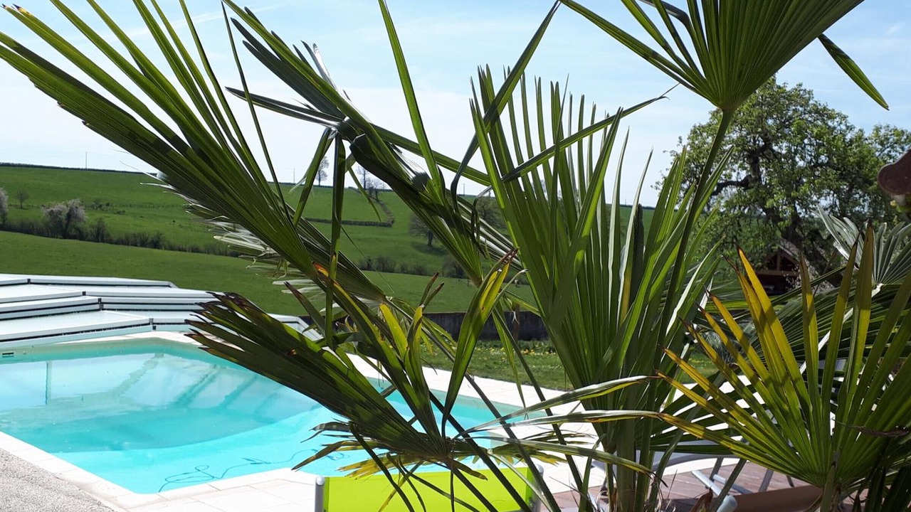 Photo of Outdoor in Bert