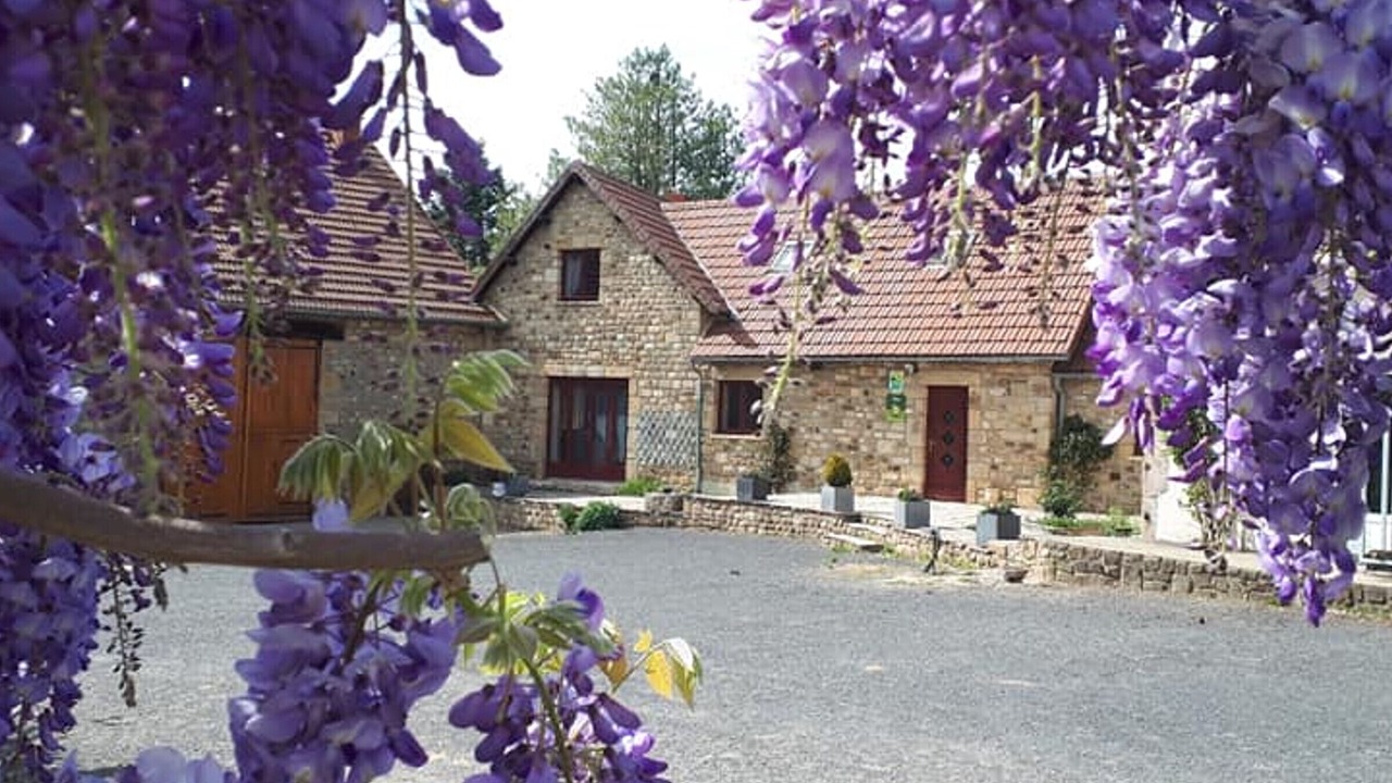 Photo of Outdoor in Bert