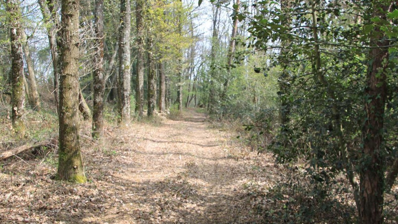 Photo of Outdoor in Bert