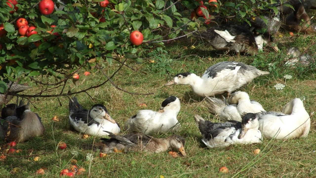 Photo of Outdoor in Bert