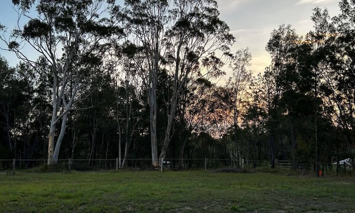 Photo of Others in Cooroibah