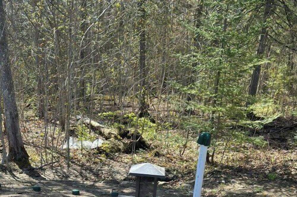 Photo of Others in Saint-Gabriel-de-Brandon