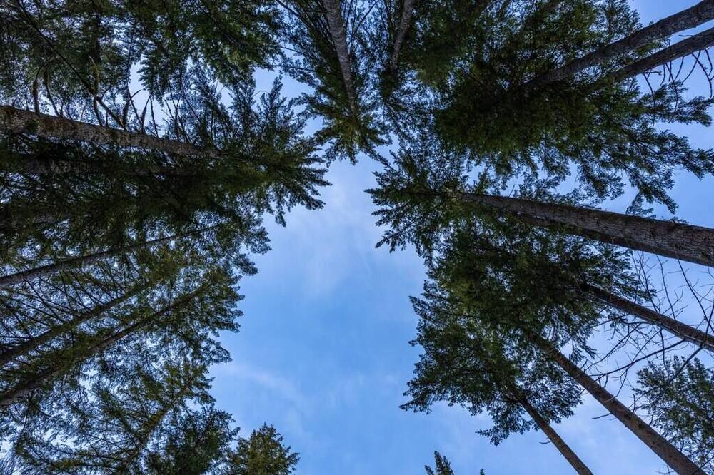 Photo of Others in Skykomish