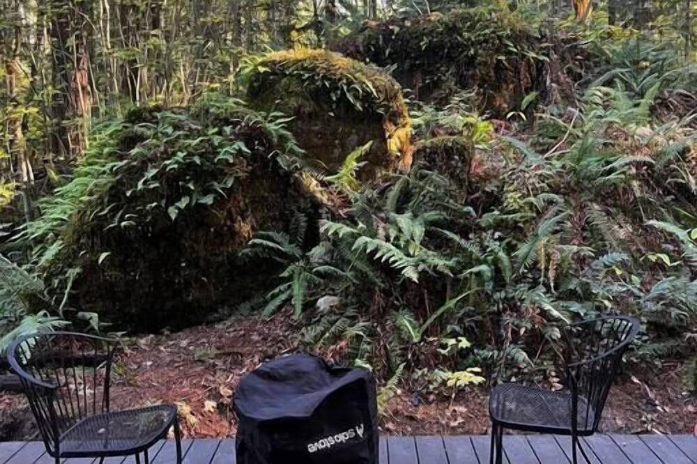 Photo of Others in Skykomish