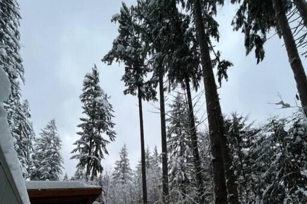 Photo of Others in Skykomish