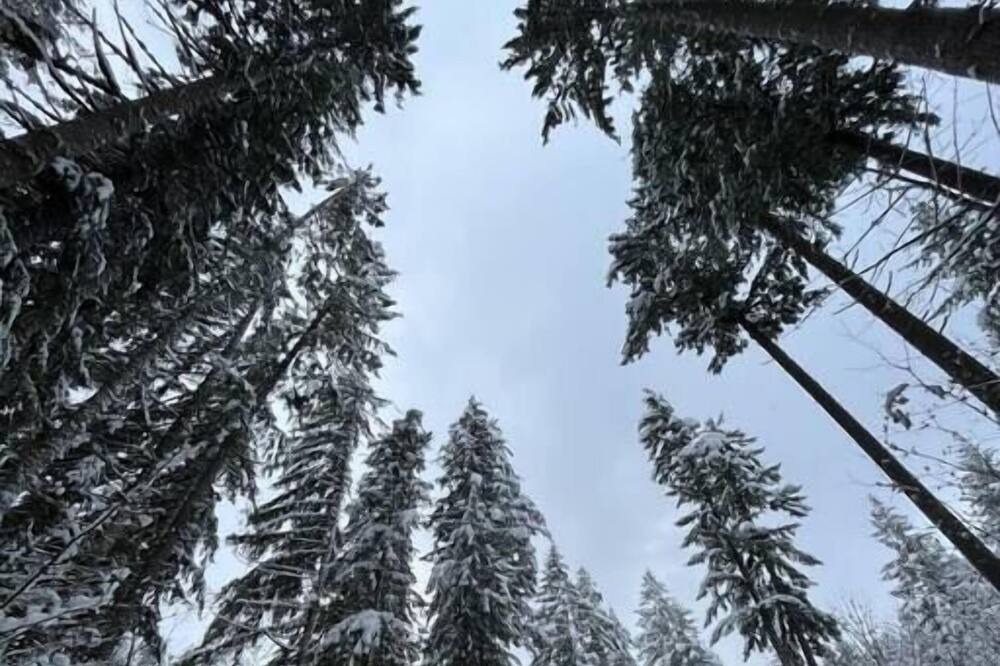 Photo of Others in Skykomish