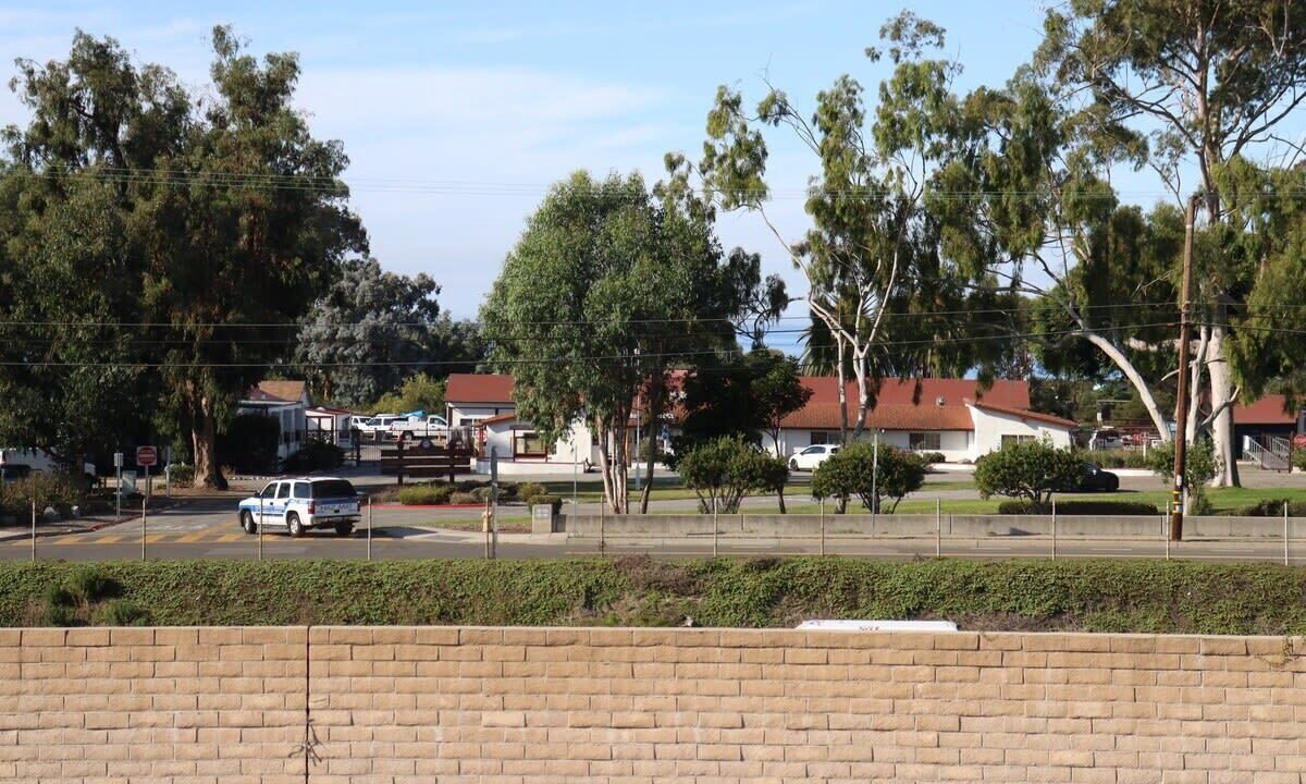 Photo of Others in San Onofre