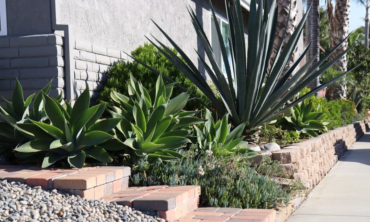 Photo of Outdoor in San Onofre