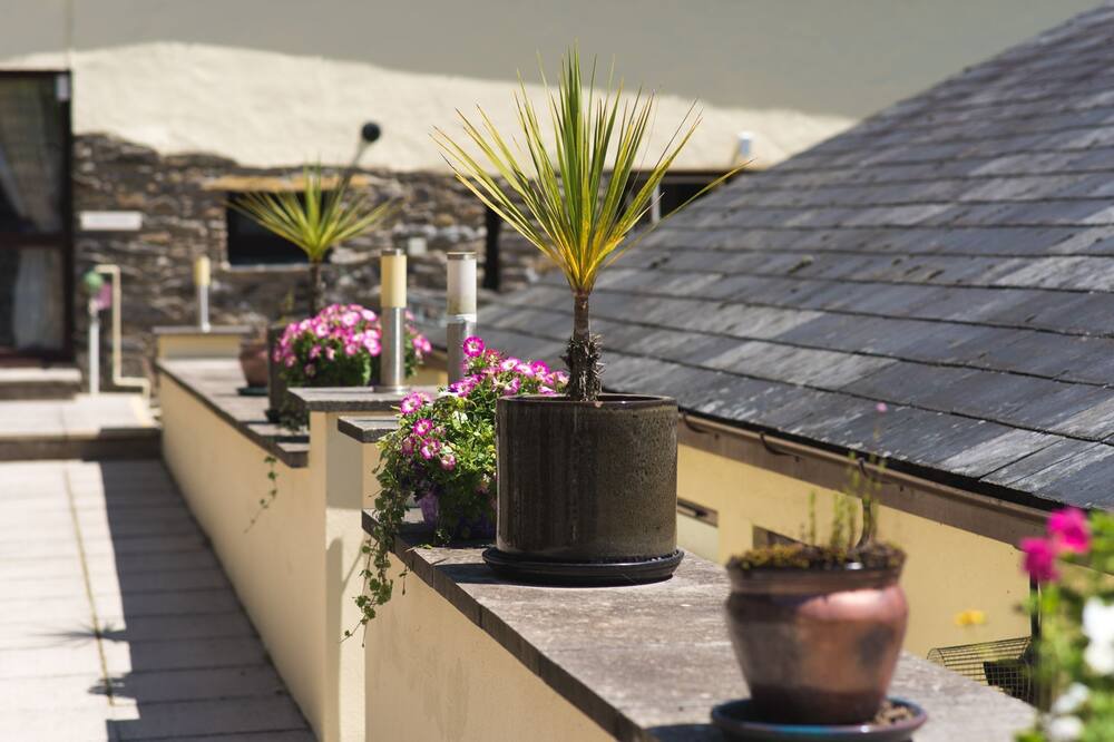 Photo of Others in West Down