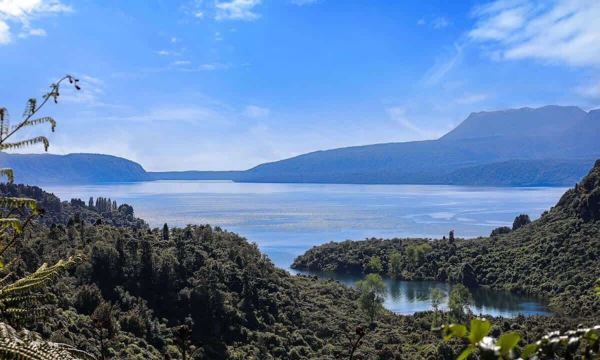 Photo of Others in Lake Tarawera