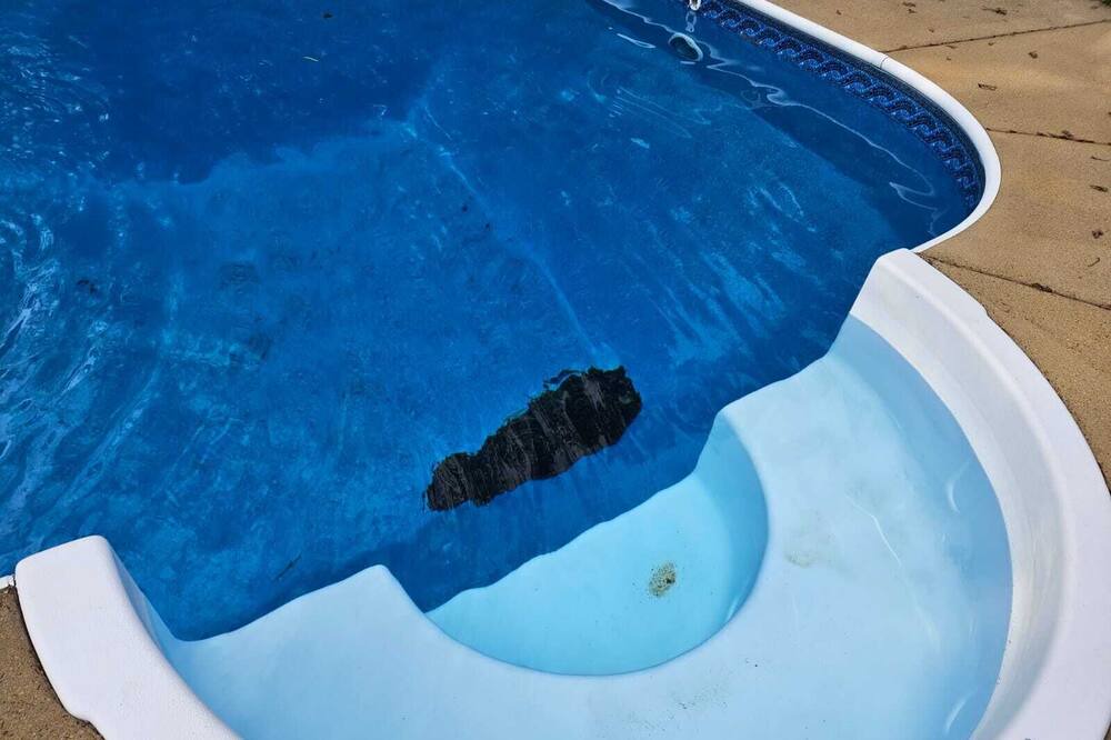 Photo of Outdoor in Olive Branch