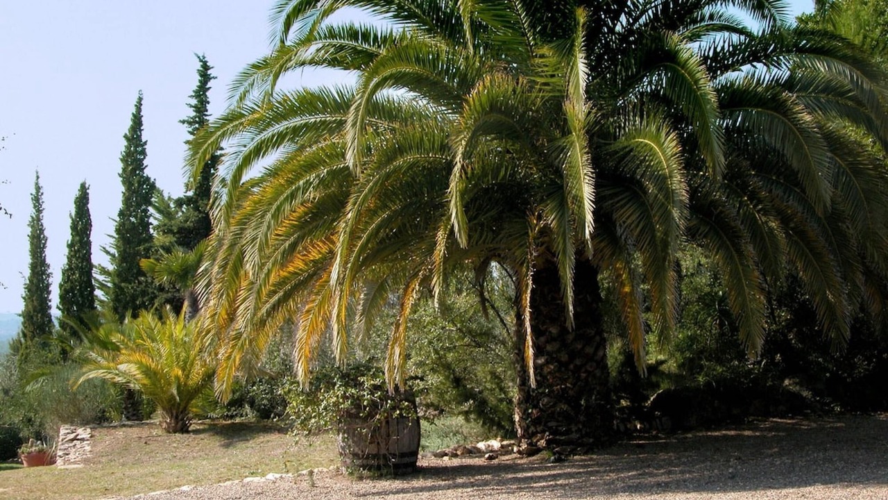 Photo of Outdoor in Vespella de Gaia