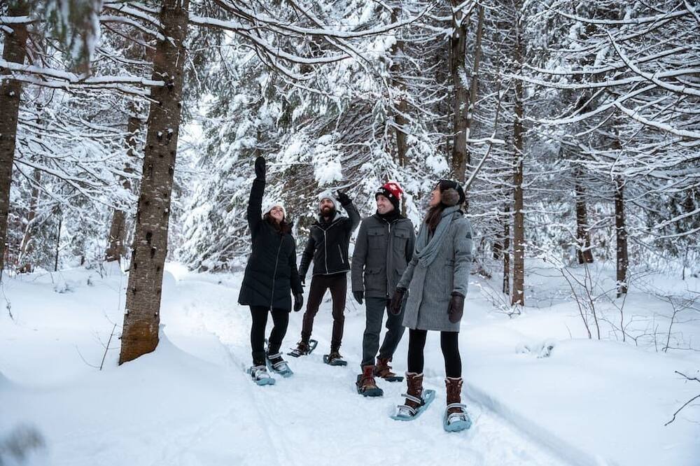 Photo of Others in Fiddler Lake Resort
