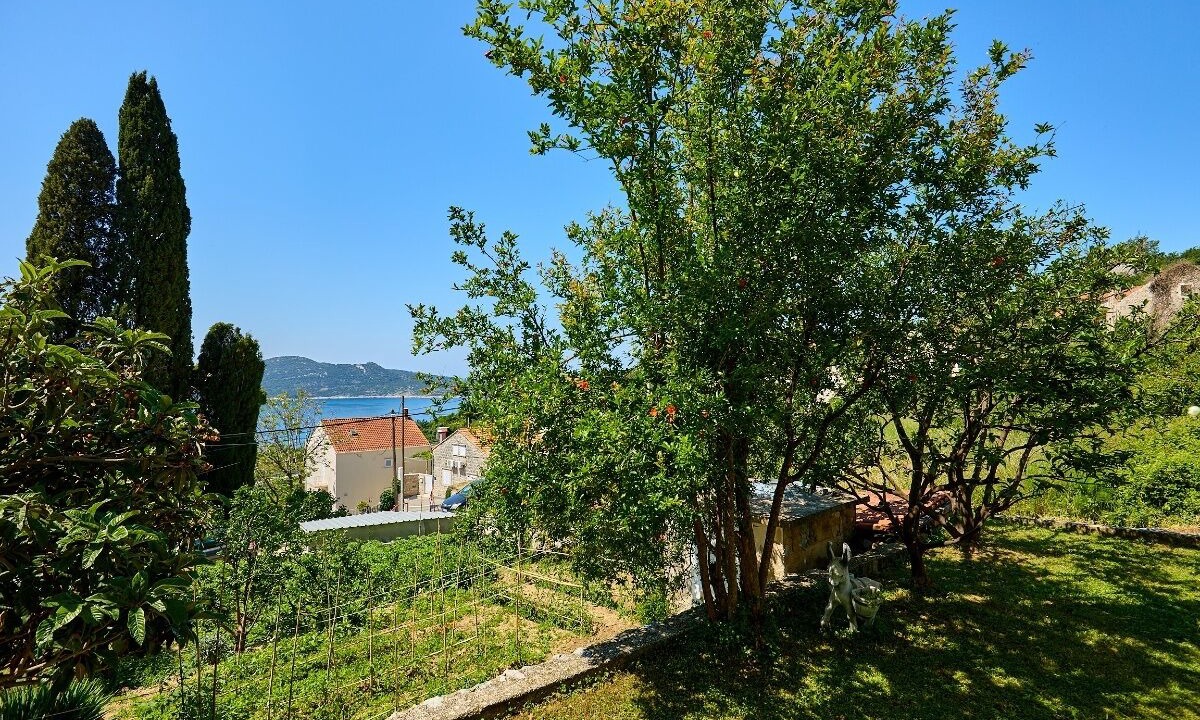 Photo of Outdoor in Trsteno