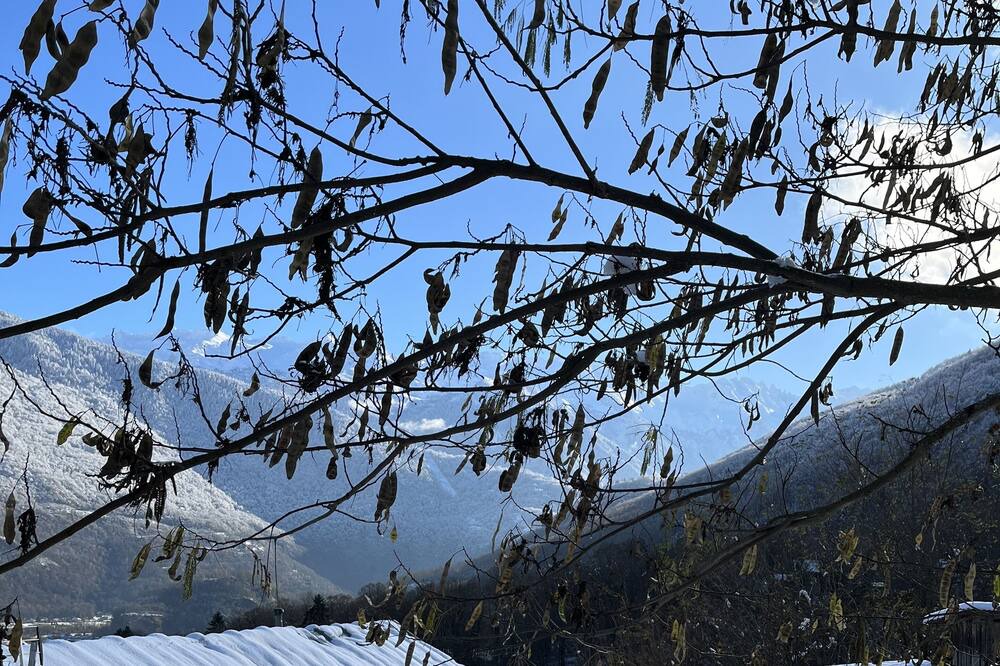 Photo of Outdoor in Montgilbert