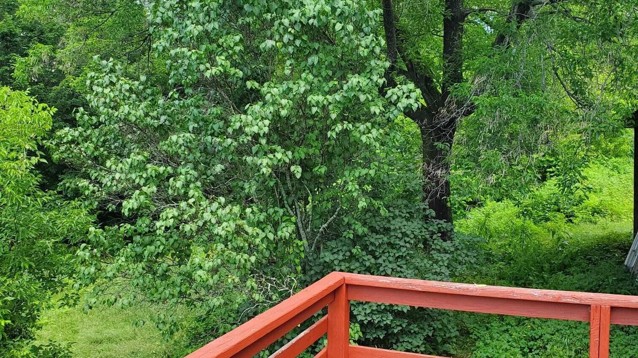 Photo of Outdoor in Mexico