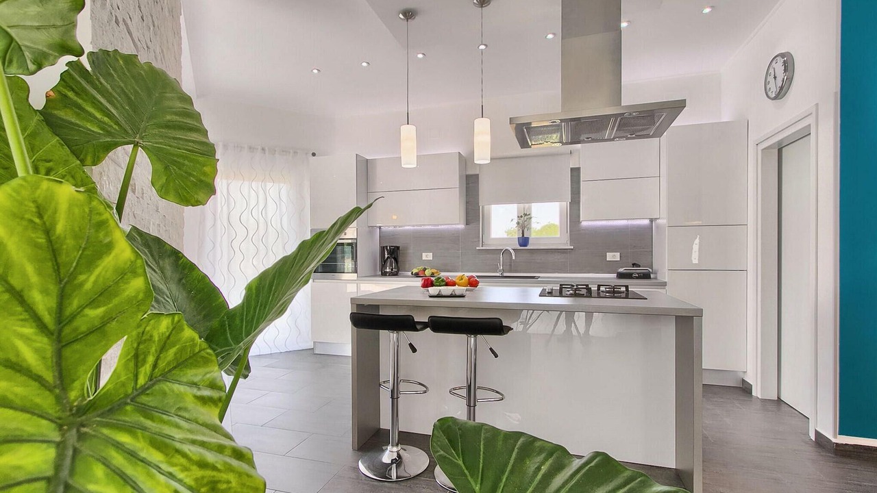 Photo of Kitchen in Rogocana
