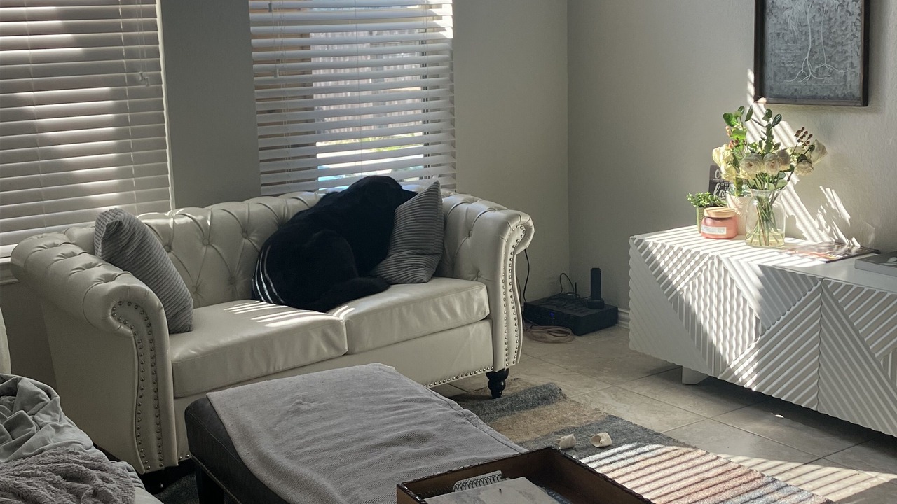 Photo of Livingroom in Conroe