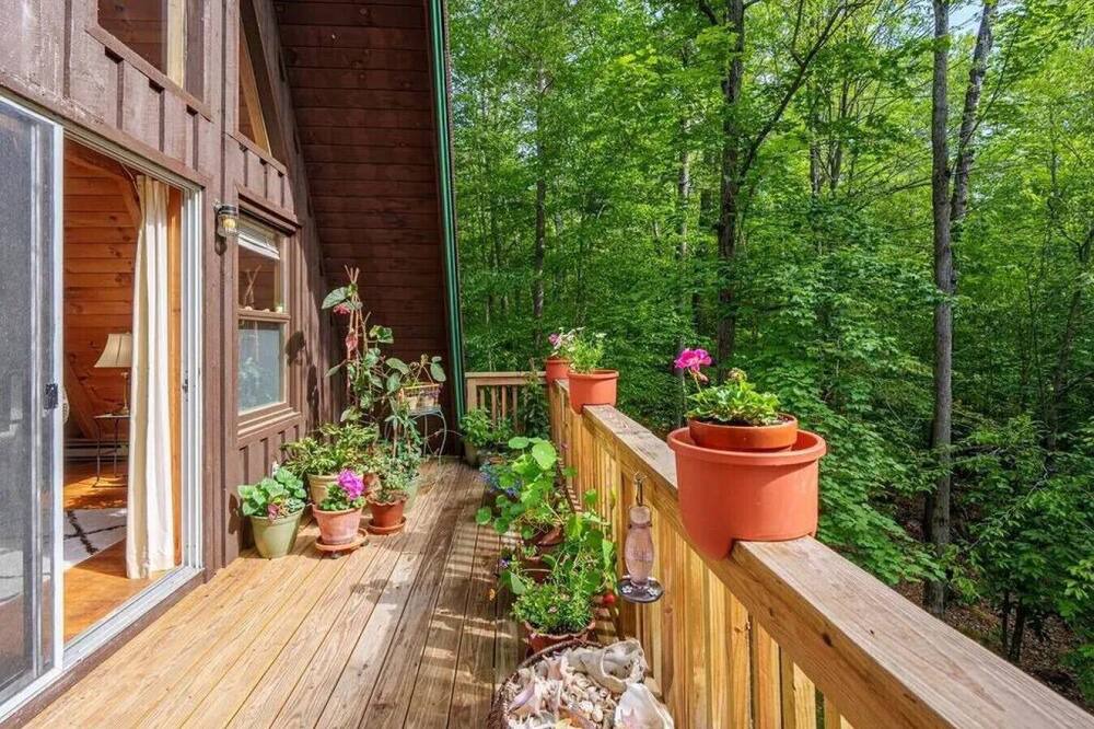 Photo of Others in Jay