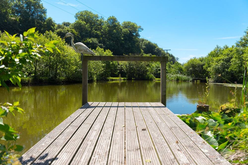 Photo of Others in West Down