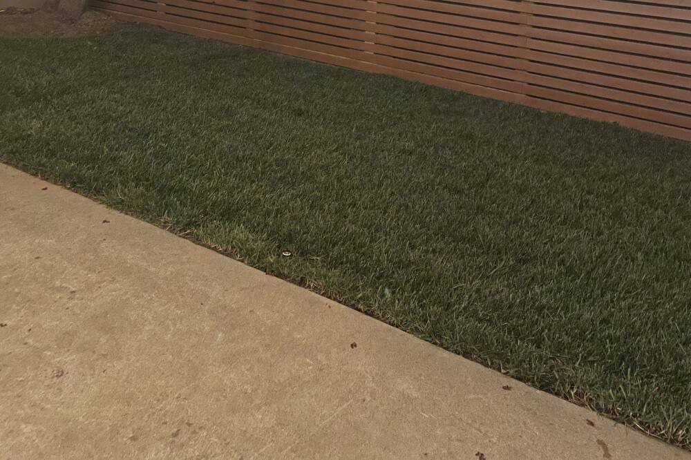 Photo of Outdoor in Modesto