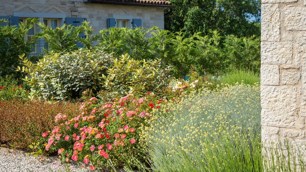 Photo of Outdoor in Mofardini